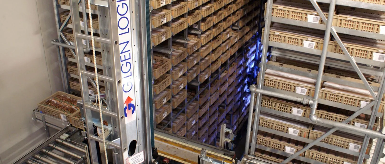 Cold Chain Logistics in Qatar: A Complete Guide