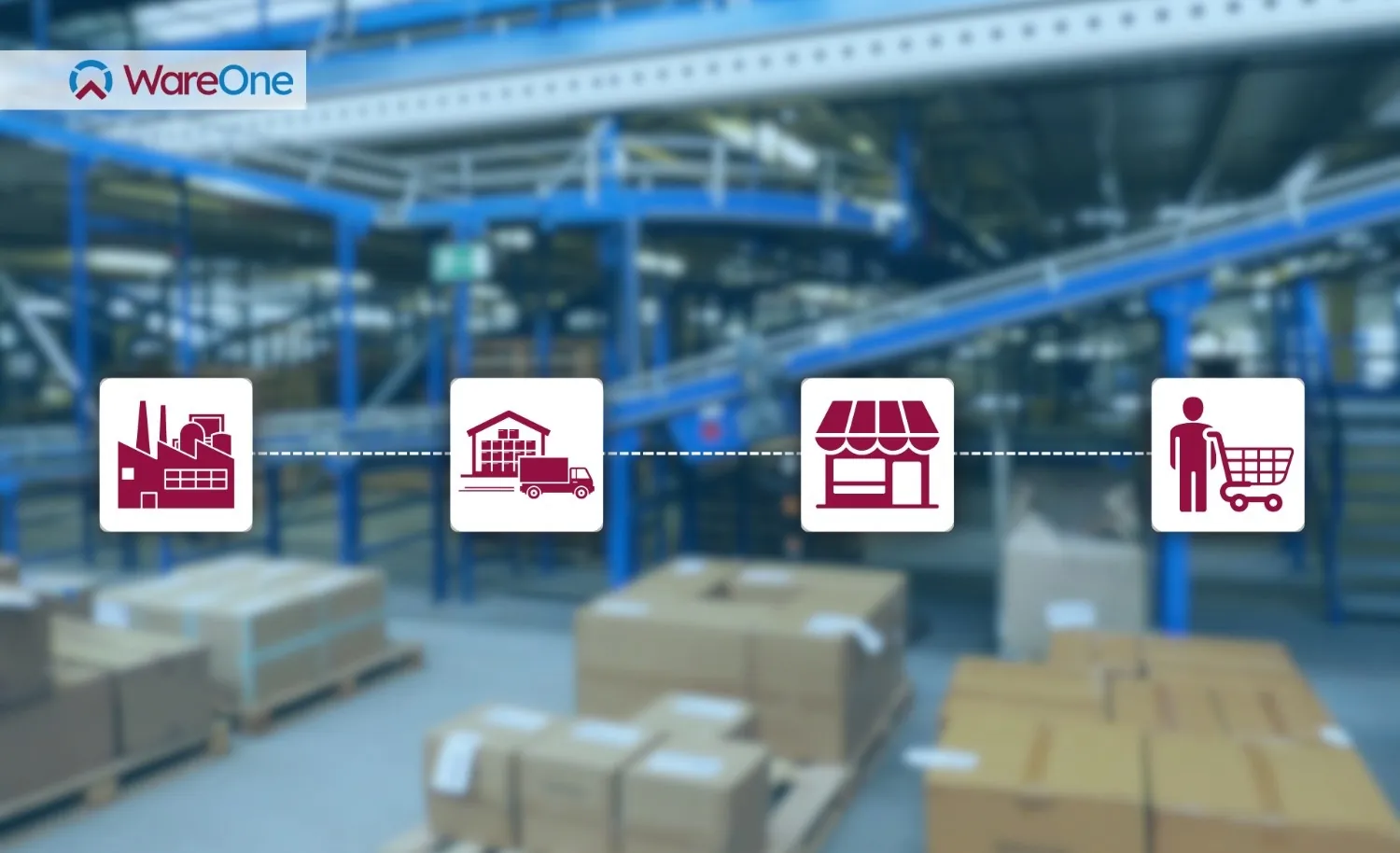 Understanding Fast-Moving Consumer Goods Distribution