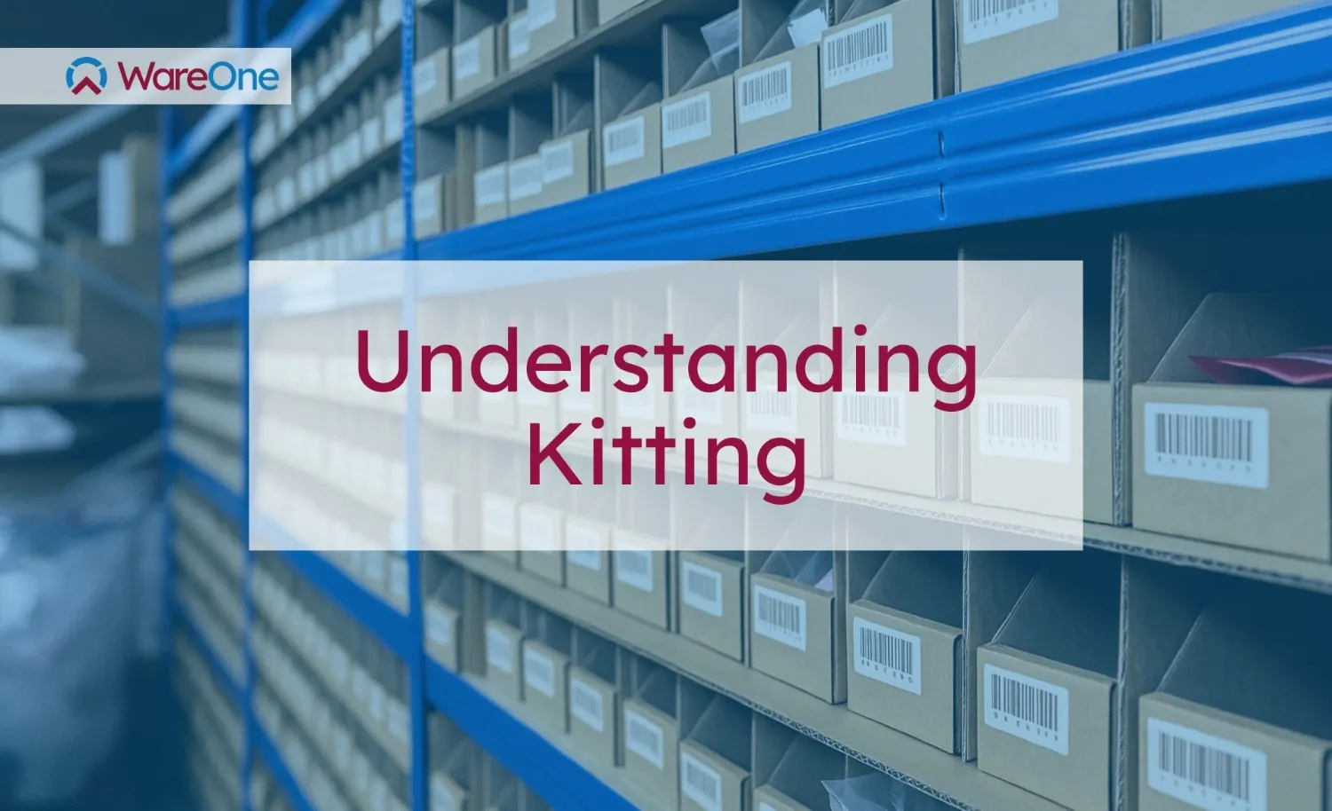 Understanding Kitting: Definition, Processes, and