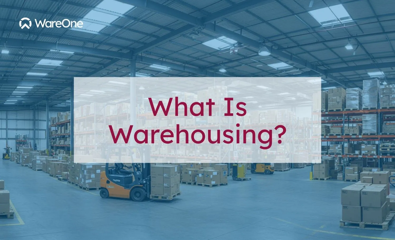 What Is Warehousing? Definition, Functions, and