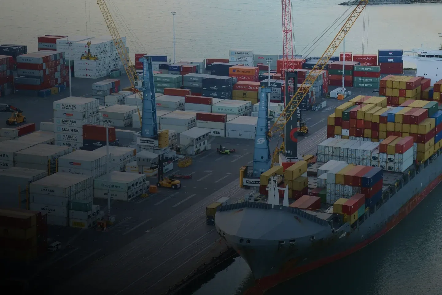 Expert Customs Clearance Services